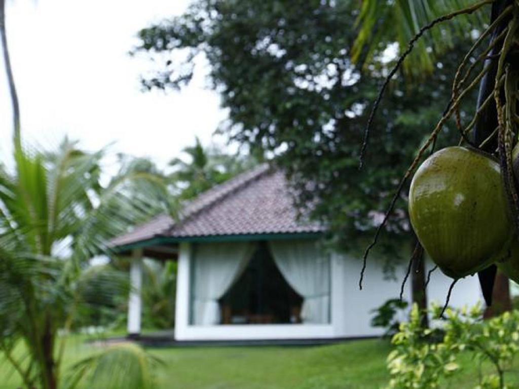 Brook Boutique Hotel Melsiripura Luaran gambar