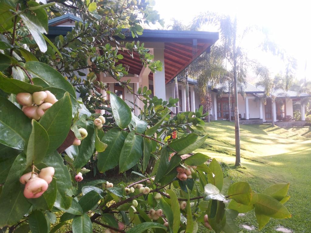 Brook Boutique Hotel Melsiripura Luaran gambar